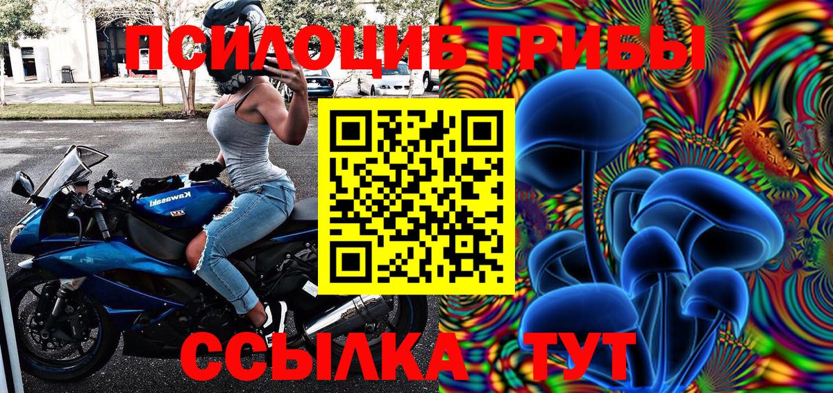 Галлюциногенные грибы прущие грибы  Вход с VPN  Нижний Новгород  Галлюциногенные грибы GOLDEN TEACHER 