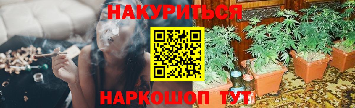 Каннабис VHQ  Каннабис семена  Конопля ГИДРОПОН  Вход с VPN  Нижний Новгород 
